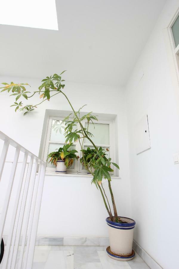 Apartamento Centro San Luis Севиля Екстериор снимка